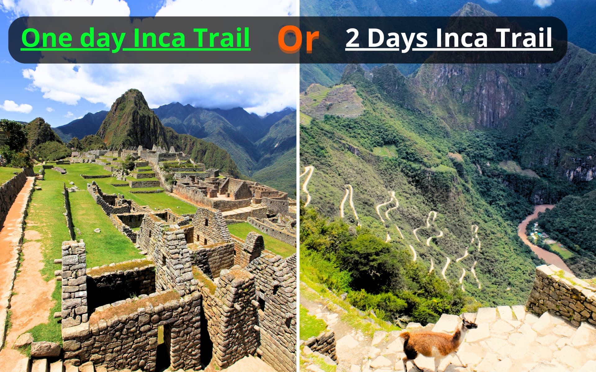Port One day Hike Inca Trail vs Short Inca Trail Port One day Hike Inca Trail vs Short Inca Trail