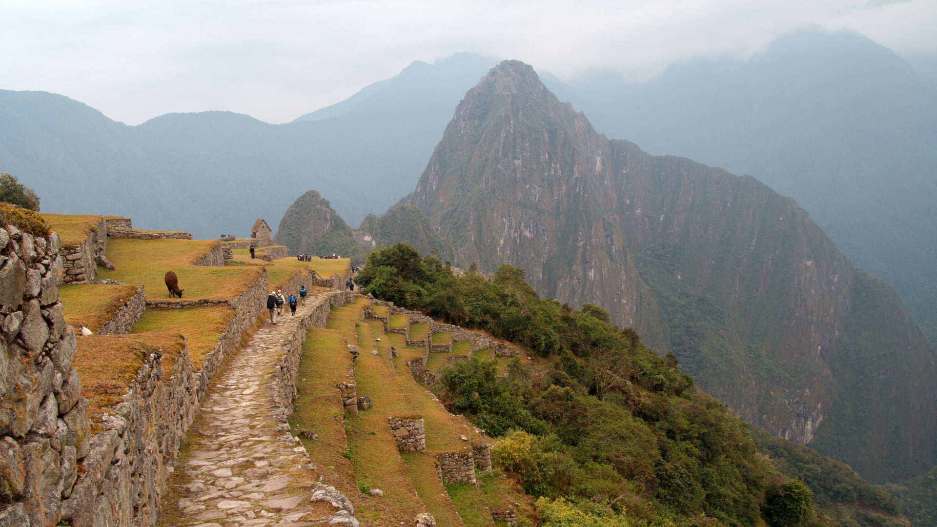 Exploring The Terraces Of Machu Picchu A Natural And Historical Marvel 0 Exploring The Terraces Of Machu Picchu A Natural And Historical Marvel 0