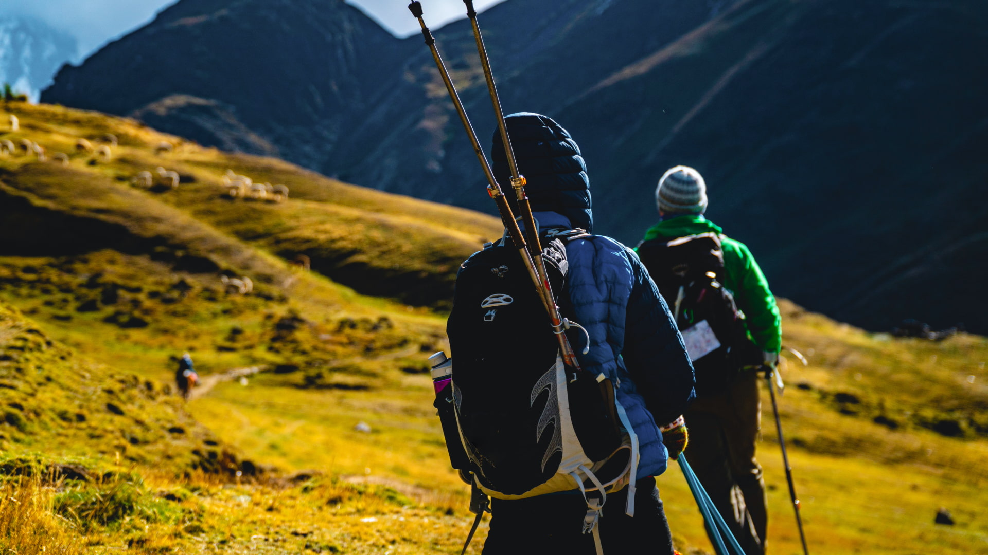 Hikers trekking the Lares Trail through golden Andean highlands, with grazing alpacas and towering mountains in the background.