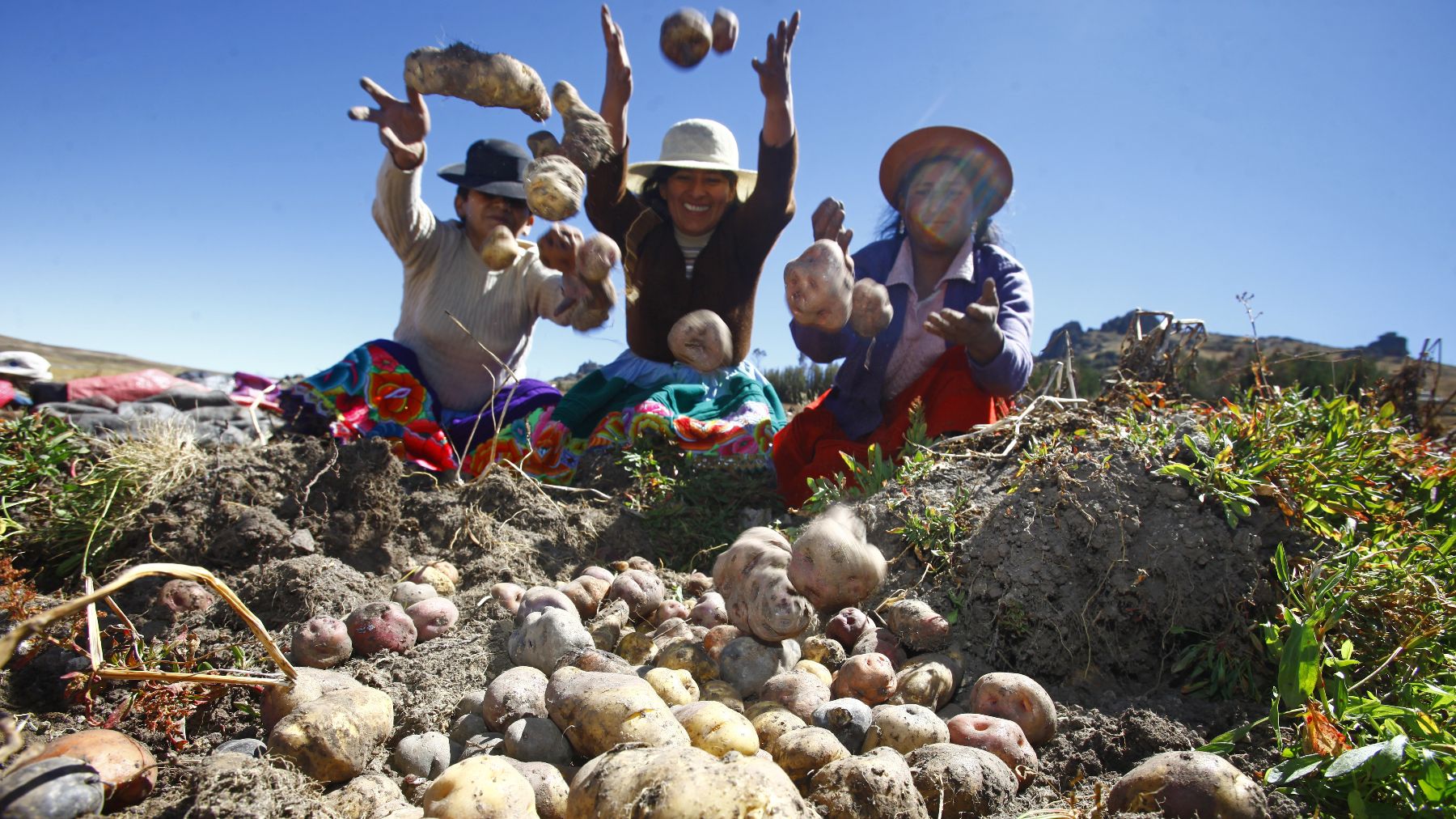 Inca farming methods  The backbone of an empire