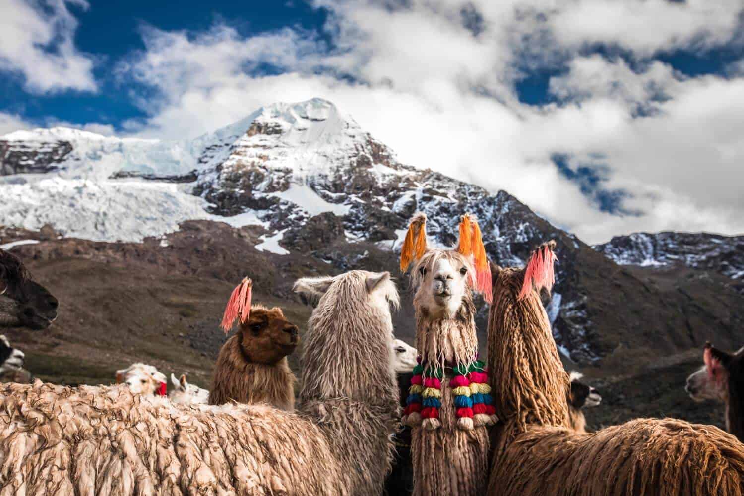 What is Peru best known for?
