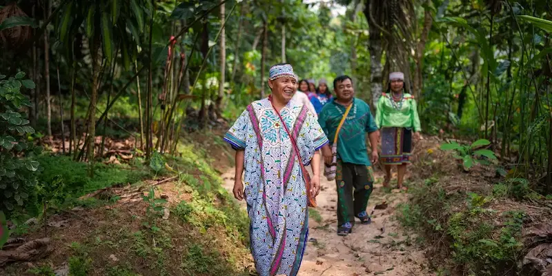 Ayahuasca and the Indigenous Peoples of Peru
