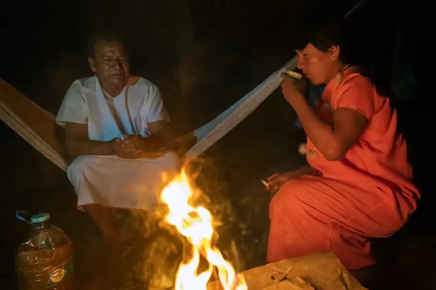 The Role of Ayahuasca in Traditional Amazonian Knowledge