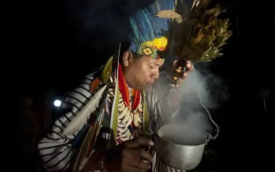 What Are the Traditional Benefits of Ayahuasca?