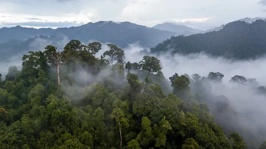What Is the Weather Like in the Amazon in November?