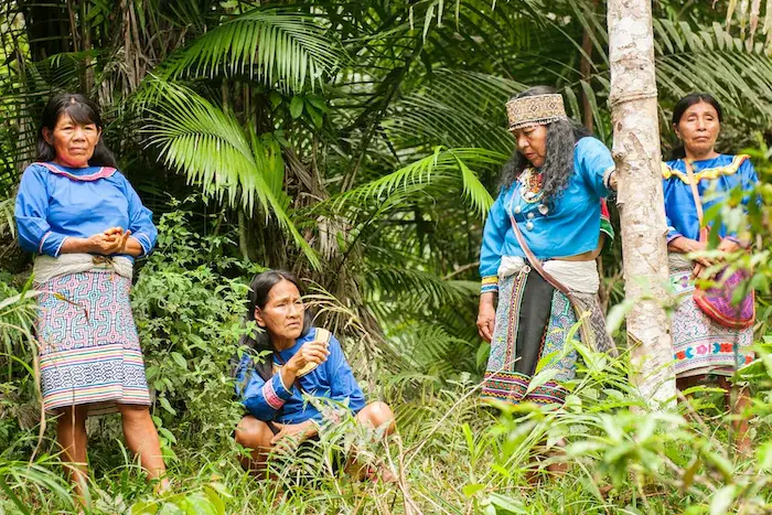 Why Do People Take Ayahuasca?