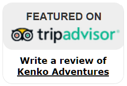 Tripadvisor Award