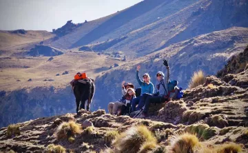 Lares 4d