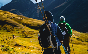 Hikers trekking the Lares Trail through golden Andean highlands, with grazing alpacas and towering mountains in the background.