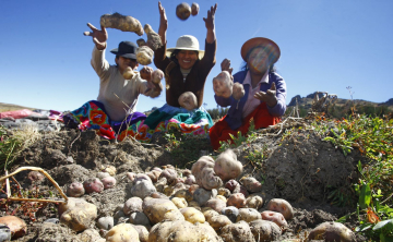 Inca farming methods  The backbone of an empire