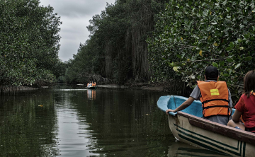 Discover the Wonders of National Parks in Peru