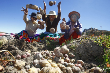 Inca farming methods  The backbone of an empire